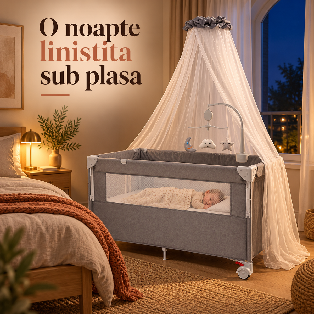 Plasa cu baldachin
