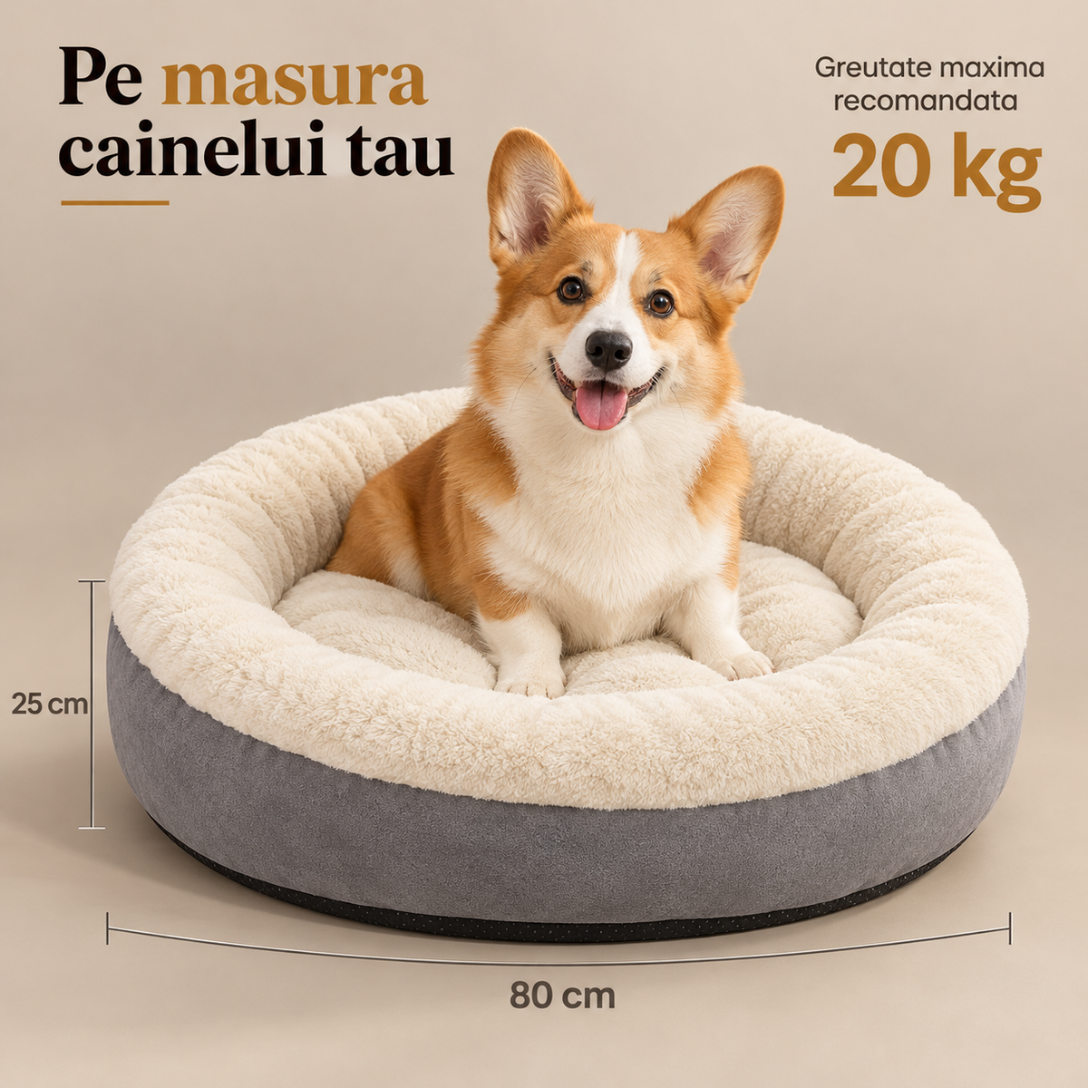 Dimensiuni produs